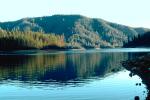 Mountain, hill, Forest, Reflection, NWEV02P15_12.2879