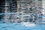 Water Reflection, Wet, Liquid, Water, NWEV04P02_07