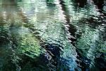 Water Reflection, Wet, Liquid, Water, NWEV04P13_09
