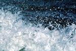 Fort Point, Turbid Water, Wet, Liquid, foam, NWEV05P07_15