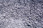 Cracked, Dirt, Earth, Dry, Arid, Drought, Dessicated, Parched, NWEV05P08_18