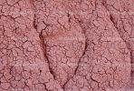 Cracks, Interstices, Cracked, Dirt, Earth, Dry, Arid, Drought, Dessicated, Parched, Craquelure, NWEV05P08_19.3737