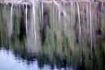 Water Reflection, Tree, Wet, Liquid, Water, NWEV05P09_11