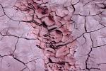 Cracks, Interstices, Cracked, Dirt, Earth, Dry, Arid, Drought, Dessicated, Parched, Craquelure, NWEV05P10_08.2880