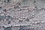 Cracks, Interstices, Cracked, Dirt, Earth, Dry, Arid, Drought, Dessicated, Parched, Craquelure, NWEV05P10_11.0754