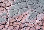 Cracks, Interstices, Cracked, Dirt, Earth, Dry, Arid, Drought, Dessicated, Parched, Craquelure, NWEV05P10_15B.3738