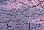 Cracks, Interstices, Cracked, Dirt, Earth, Dry, Arid, Drought, Dessicated, Parched, Craquelure, NWEV05P10_16.2880