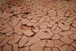 dried mud, cracked earth, muddy, Craquelure, NWEV06P02_10.2880