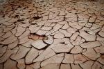 dried mud, cracked earth, muddy, Craquelure, NWEV06P02_10B.2880