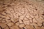 dried mud, cracked earth, muddy, Dirt, soil, Craquelure, NWEV06P02_11.3738