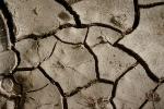 dried mud, cracked earth, muddy, Dirt, soil, Craquelure, NWEV06P02_16.2880