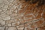 dried mud, cracked earth, muddy, Dirt, soil, Craquelure, NWEV06P03_01.2880