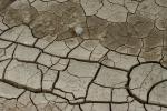dried mud, cracked earth, muddy, Dirt, soil, Craquelure, NWEV06P03_03.2880