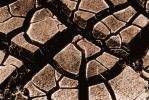 dried mud, cracked earth, muddy, Dirt, soil, Craquelure, NWEV06P05_16.2880