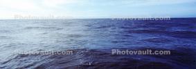 Wide Open Ocean, Panorama, Wet, Liquid, Water, Pacific Ocean, Seawater, Sea, NWEV06P06_06