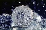 Air Bubbles, Round, Circular, Circle, Wet, Liquid, Water, Underwater, floating, NWEV06P10_04