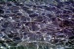 Ripples, Wet, Liquid, Water, Wavelets