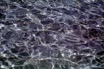 Ripples, Wet, Liquid, Water, Wavelets