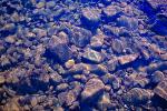 Rocks, water, Wet, Liquid, Pebbles, background texture, pond, NWEV07P03_02.2881