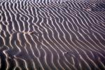 Ripples, Coral Pink Sand Dunes State Park, Utah, Wavelets, NWEV07P05_06