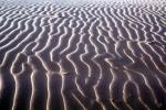 Ripples, Coral Pink Sand Dunes State Park, Utah, Wavelets, NWEV07P05_07