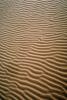 Ripples, Coral Pink Sand Dunes State Park, Utah, Wavelets, NWEV07P06_10.2881
