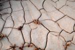 Earth, Dirt, Dry, Mud, Cracks, Cracked, Arid, Drought, Dessicated, Parched, Craquelure, NWEV07P11_11.2882