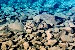 Rocks, Pebbles, Clear Water, Pond, Lake, Ripples, Emerald Lake, Wet, Liquid, Water, Wavelets, NWEV07P13_04.2882