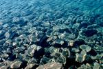 Rocks, Pebbles, Clear Water, Pond, Lake, water