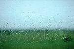 Water Drops, Rain, liquid, water, wet, NWEV08P01_13