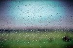 Water Drops, Rain, liquid, water, wet, NWEV08P01_13B