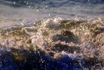 frothy foam waves, NWEV08P01_16