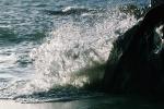 Splash, Rock, Waves, Wet, Liquid, Water, NWEV08P02_07