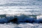 Waves, Ocean, Water, Pacific Ocean, Wet, Liquid, Seawater, Sea, NWEV08P04_05