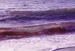 Waves, Ocean, Seascape, Water, Pacific Ocean, Wet, Liquid, Seawater, Sea, NWEV08P05_01