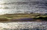 Waves, Ocean, Water, Pacific Ocean, Wet, Liquid, Seawater, Sea, NWEV08P05_04