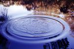 Concentric Ripples, Wave Propagation, Waves, Round, Circular, Circle, Wet, Liquid, Water, Pond, lake, Wavelets