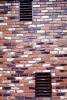 Bricks, Wall, Colors, NWEV08P10_19