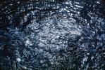 Spirals of Eddy Currents, Sun Highlights, Momentary Water Sculptures, Incantations from the Blue Frontier, Wet, Liquid, Water, NWEV08P11_17