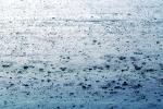 Rain, Sprinkles, Shower, Wet, Liquid, Water, NWEV08P14_12