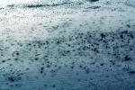 Rain, Sprinkles, Shower, Wet, Liquid, Water