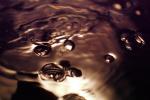 Air Bubbles, Wet, Liquid, Water