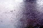 Rain Drops, Showers, Sprinkles, Wet, Liquid, Water, NWEV09P05_07