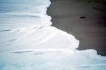 Foam, Beach, Sand, Wet, Liquid, Water, NWEV09P08_09
