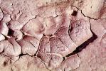 Mud, Dry, Dirt, Cracked, split, Arid, Drought, Dessicated, Parched, Craquelure, NWEV09P10_16