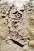 Cracked, Dirt, Dry, Arid, Drought, Dessicated, Parched, Craquelure