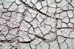 Cracked, Dirt, Earth, Dry, Arid, Drought, Dessicated, Parched, Craquelure, NWEV09P13_01