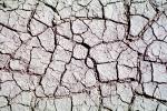 Cracks, Mud, Muddy, Cracked, Dirt, Earth, Dry, Arid, Drought, Dessicated, Parched, Craquelure, NWEV09P13_03