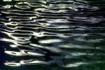 Water Reflection, Wet, Liquid, Water, Ripples, Wavelets