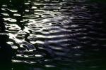 Water Reflection, Wet, Liquid, Water, Ripples, Wavelets